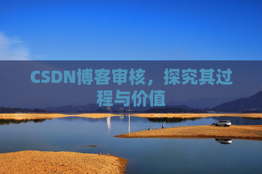 CSDN博客审核,探究其过程与价值